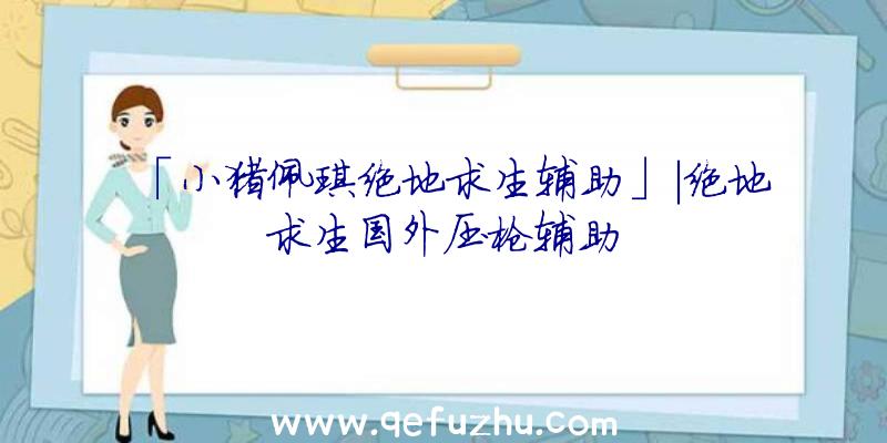 「小猪佩琪绝地求生辅助」|绝地求生国外压枪辅助